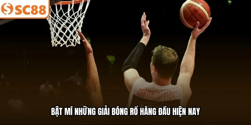 Bật mí những giải bóng rổ hàng đầu hiện nay