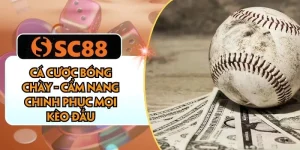 Cá Cược Bóng Chày - Cẩm Nang Chinh Phục Mọi Kèo Đấu