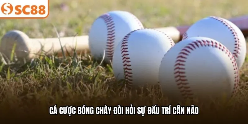Cá cược bóng chày đòi hỏi sự đấu trí cân não