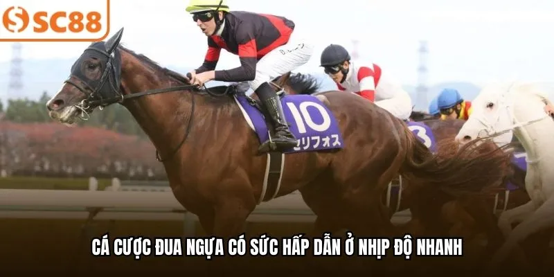 Cá cược đua ngựa có sức hấp dẫn ở nhịp độ nhanh