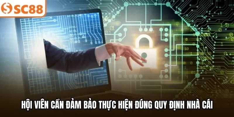 Hội viên cần đảm bảo thực hiện đúng quy định nhà cái
