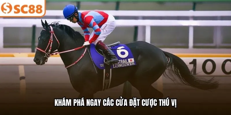 Khám phá ngay các cửa đặt cược thú vị