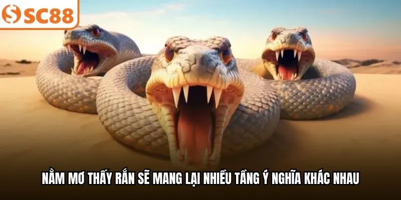 Nằm mơ thấy rắn sẽ mang lại nhiều tầng ý nghĩa khác nhau