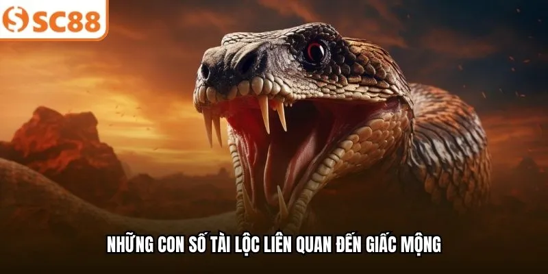 Những con số tài lộc liên quan đến giấc mộng